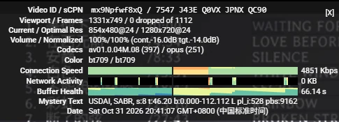 新加坡节点 · YouTube 播放状态：新加坡节点 YouTube「Stats for nerds」原图（2026-10-31 20:41:07）